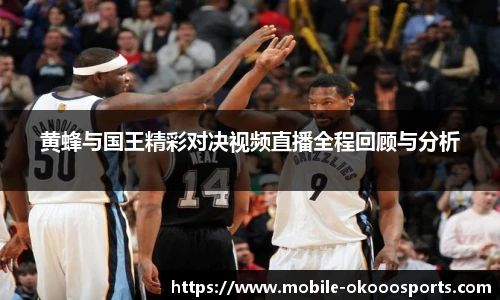 黄蜂与国王精彩对决视频直播全程回顾与分析